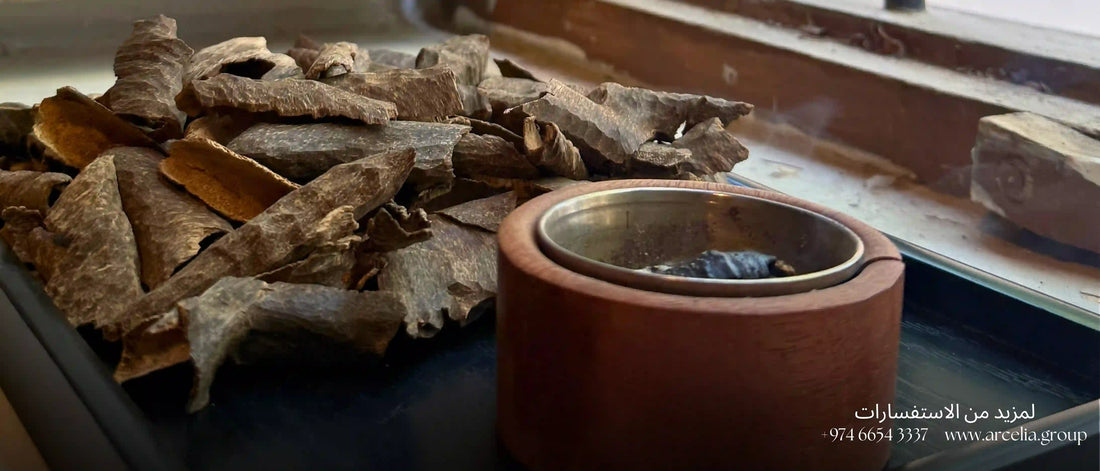 Best Oud for Daily Use for Work, Travel & Casual Wear