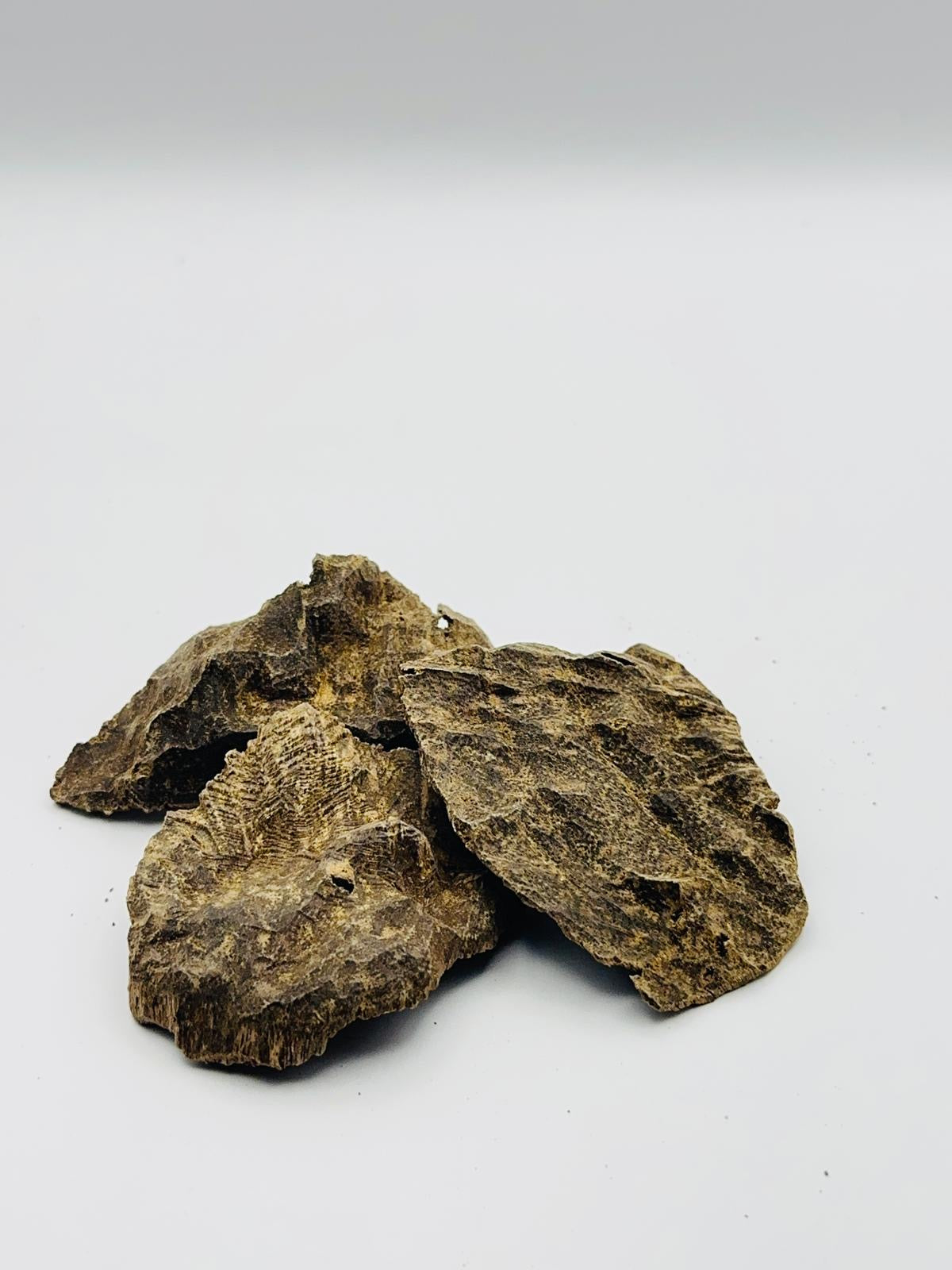 عود جار سوبر