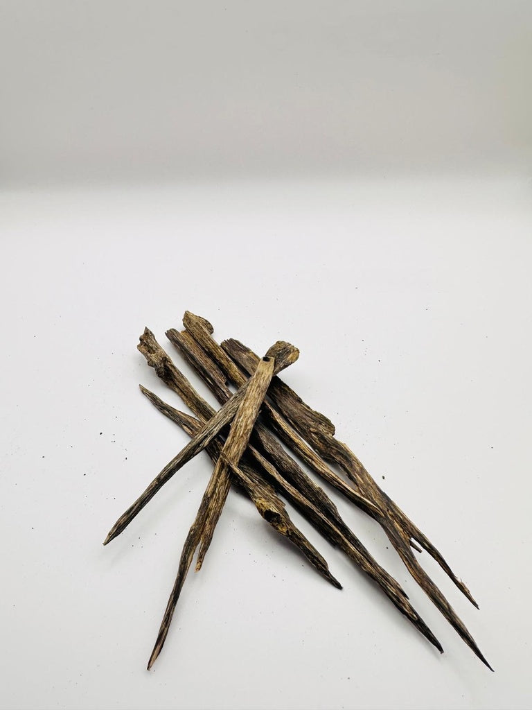 عود سله سوبر