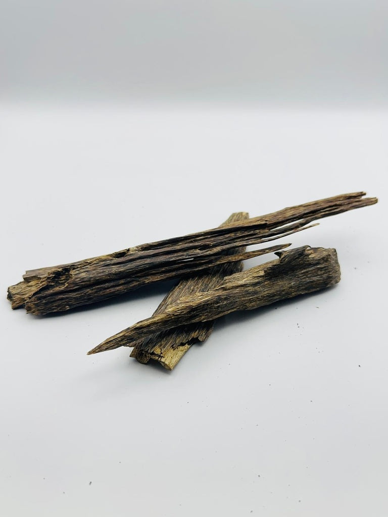 عود زورا مميز