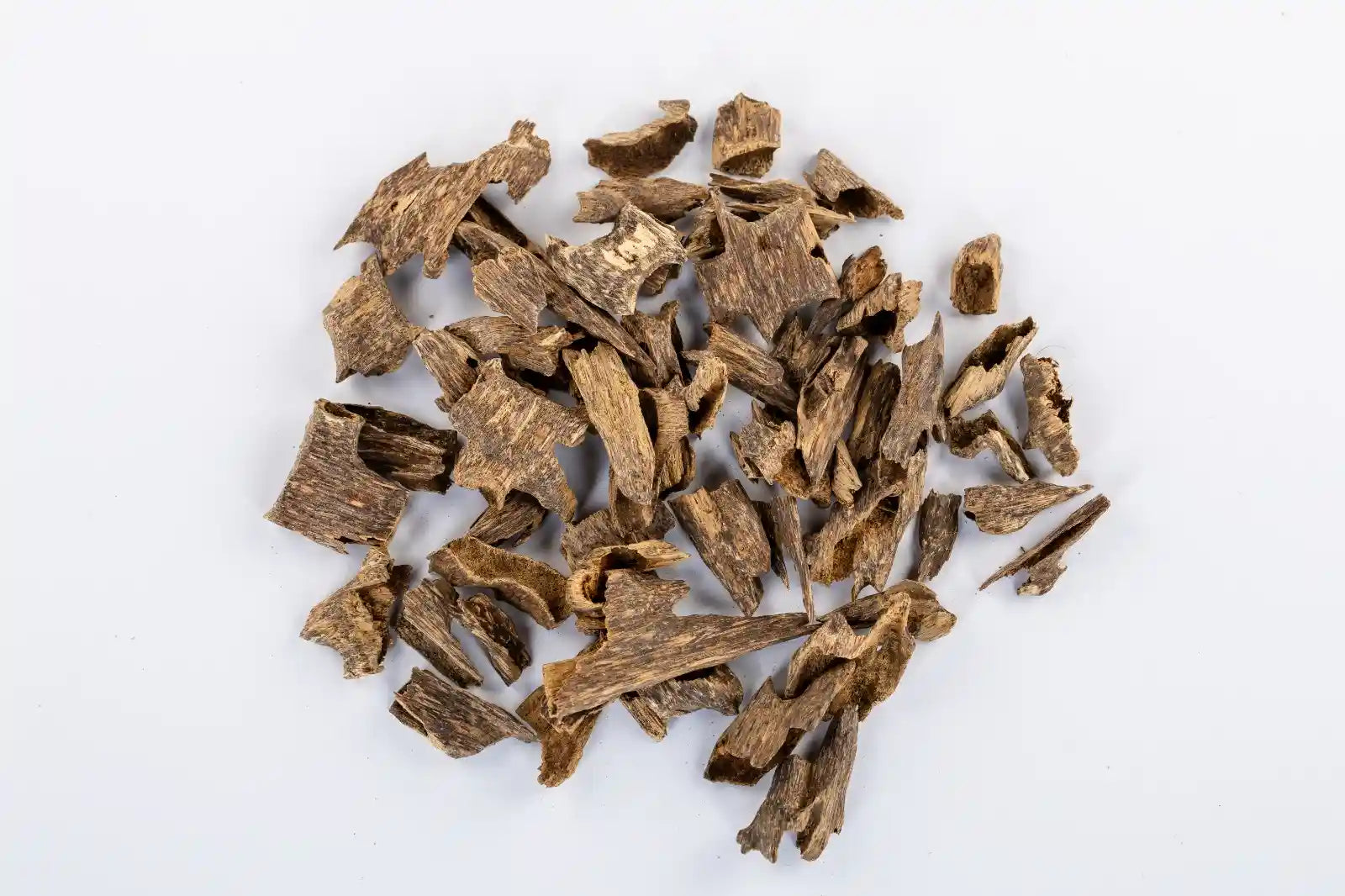 عود بيسه موري
