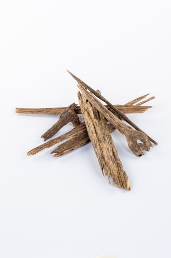 عود زورا مميز